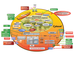 image_sArtboard 1 (2)