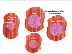 image_zaArtboard 1 (2)