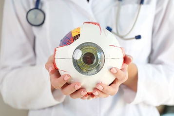 Eye Model.jpg