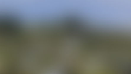 Market Comment - March 2026