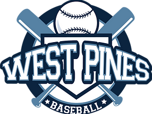 WPPO_Logo_4c (2).png