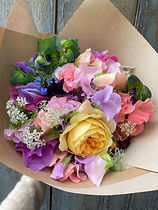 IMG_1959.jpeg