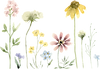 Wildflower Scene 2 SMALL.png