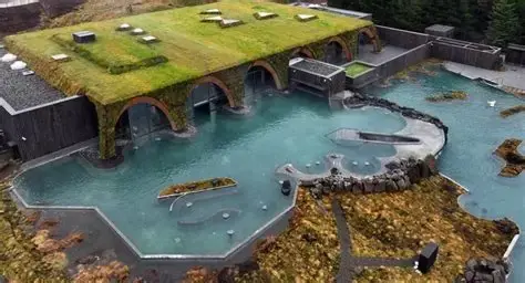 STILL WILD: ICE & FIRE — ICELAND 2028
