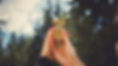 Explorer Pinceau Script Photo Couverture Facebook-2.png
