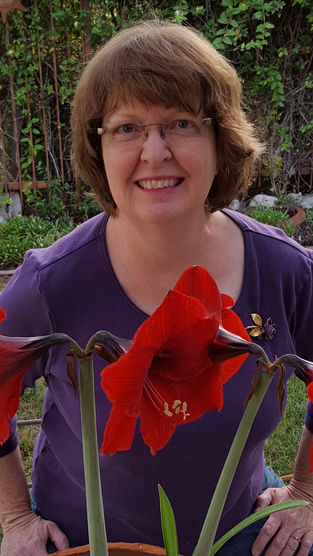 Bringing History to Life