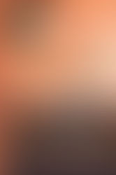 The Australian Conclave