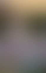 The Matchmaker of Pemberley