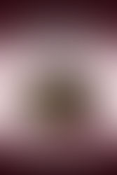 The Advocate's Killer