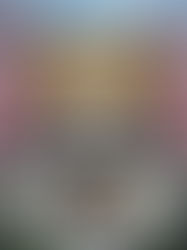 Le petit atelier des âmes brisées 🕊️💔✨de Josyane Bissonnette