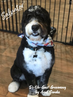 NEWEST MEMBER OF Di-Oh-Geez Pack!