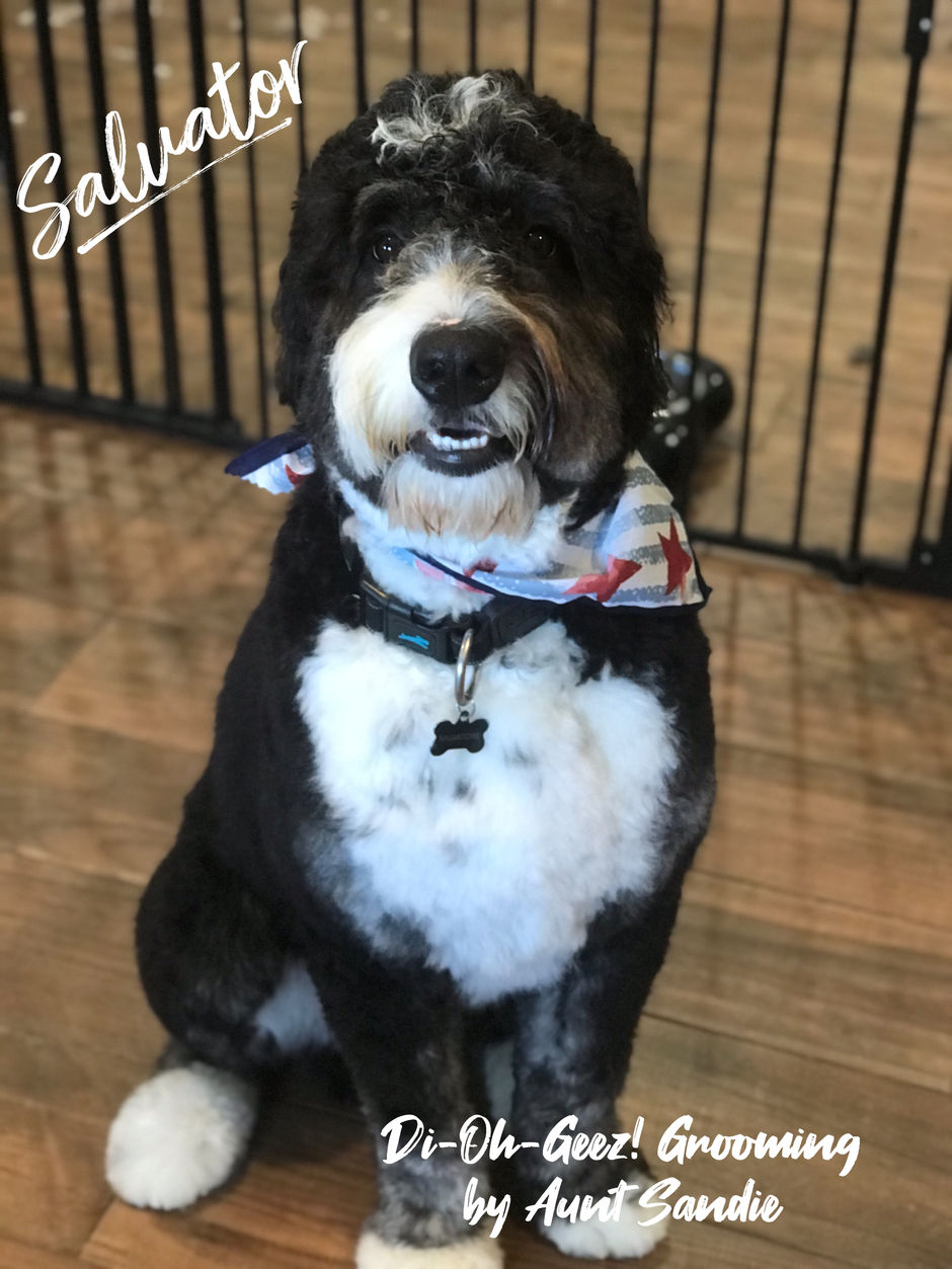 NEWEST MEMBER OF Di-Oh-Geez Pack!