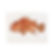 SCORPIONFISH