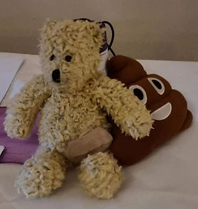 The gutsy foundation bear