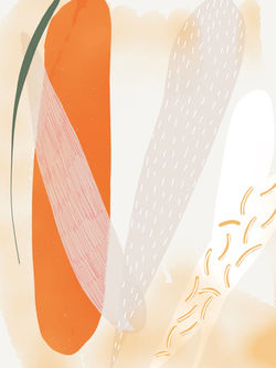 study20