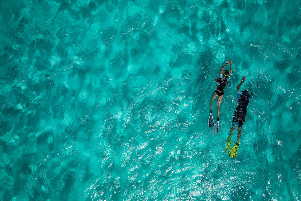 Thumbnail: Snorkel Diver