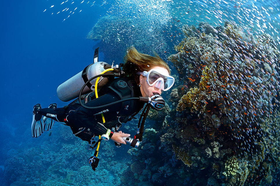 Learn To Scuba Dive Overland Underwater York Scuba Diving