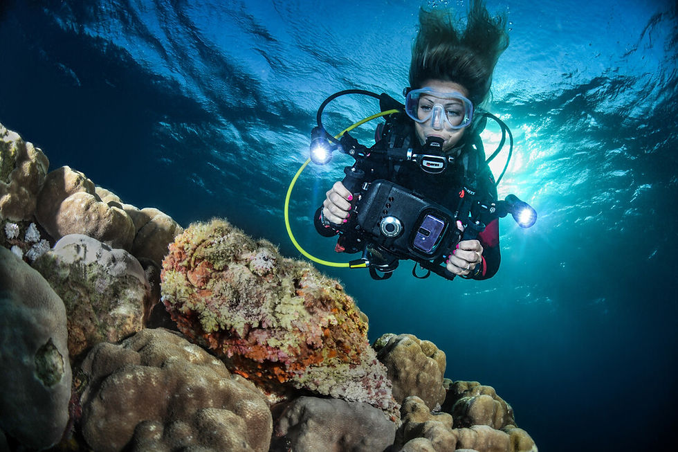 Thumbnail: Photo and Video Diver