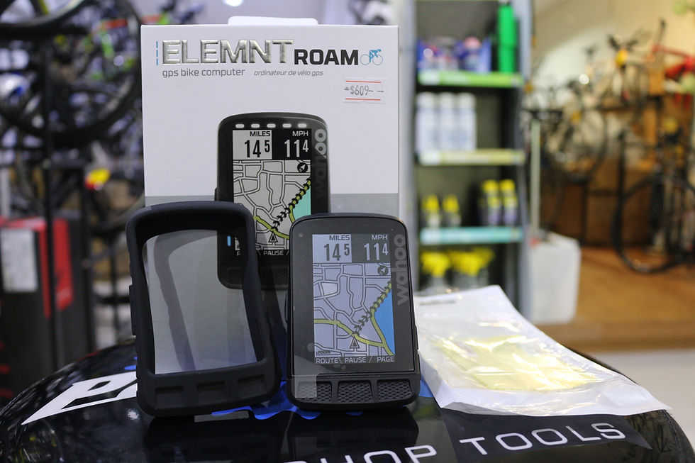 Wahoo Elemnt Roam
