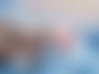 Virtual Private Networks (VPN) - Mega Review