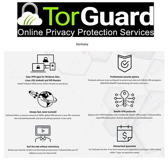 torguard review detail alt.jpg