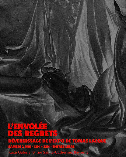 l'envolée des regrets2.jpg