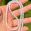 Thumbnail: Moonstone Necklace II (4 mm Straight Beaded)