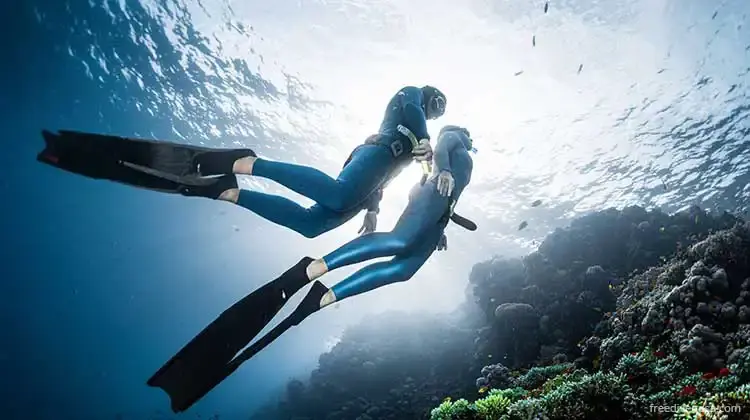 Миниатюра: Freediving Adventure: PADI Diving Course gift voucher