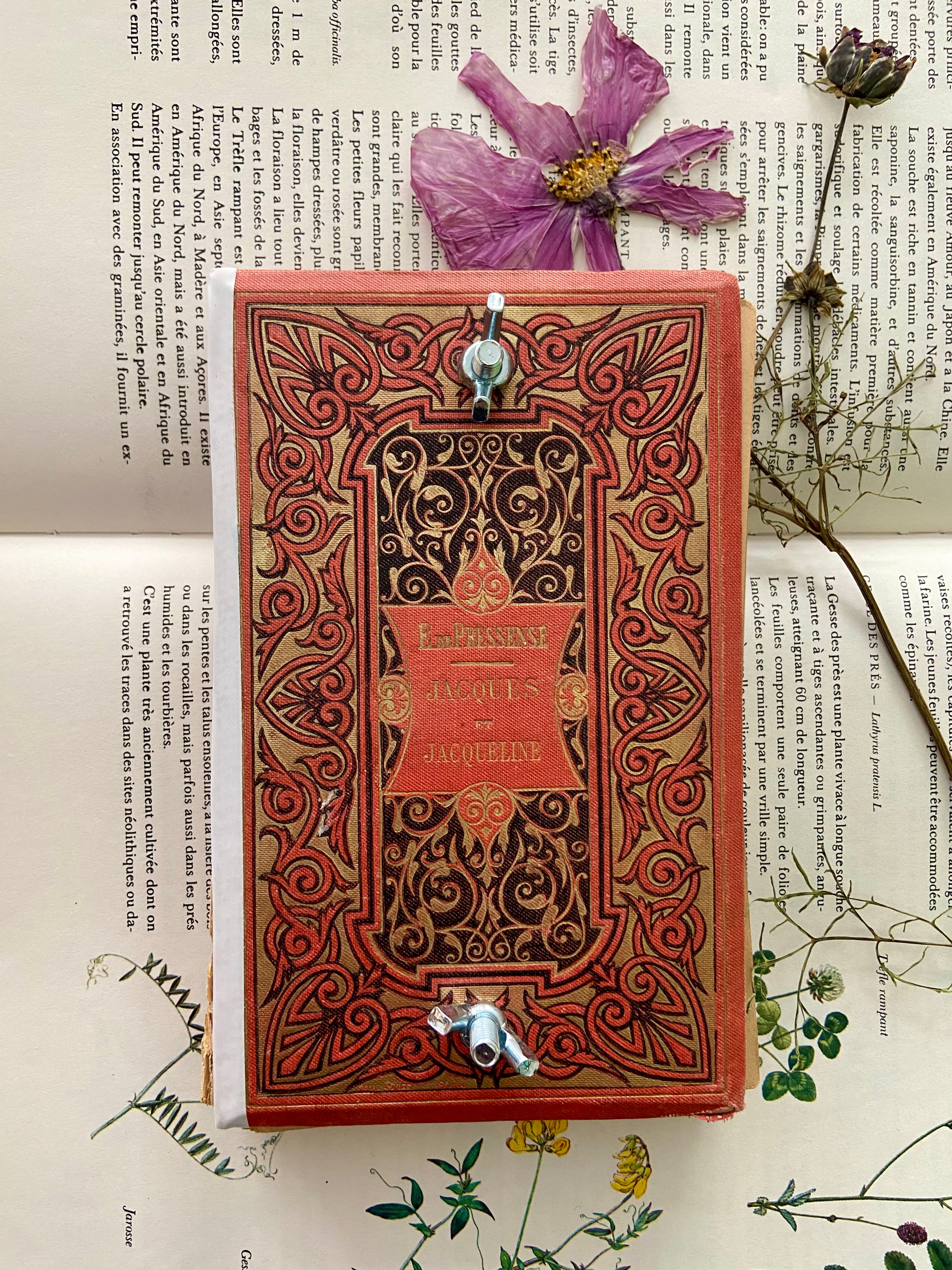 Presse à fleurs - rouge