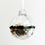 Thumbnail: Clear Sleeping Giant Ornament with Real Lake Superior Glass