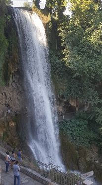 20953460_1949666875314235_86904642407867