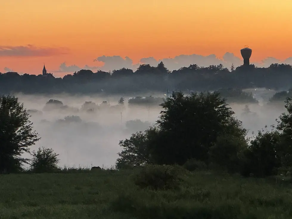 West Lawn View.webp