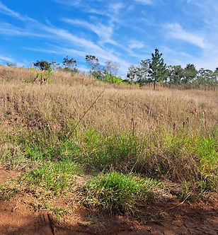 Chacrinha de 1.800m² em Francisco Beltrão - PR
