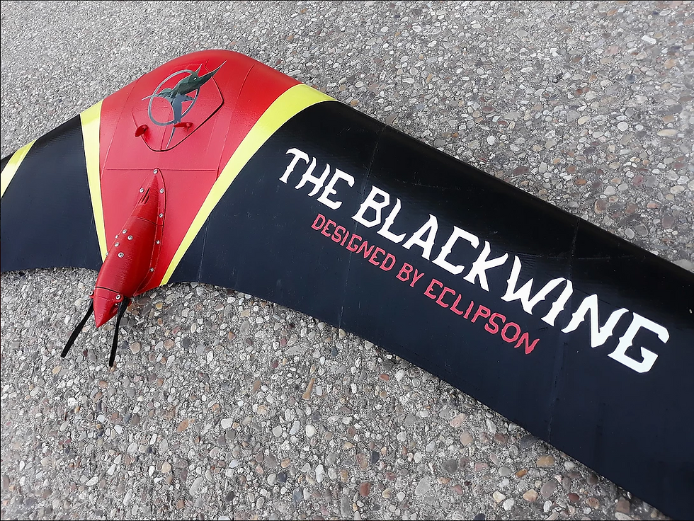 Miniatura: Aeromodelo Eclipson BlackWing