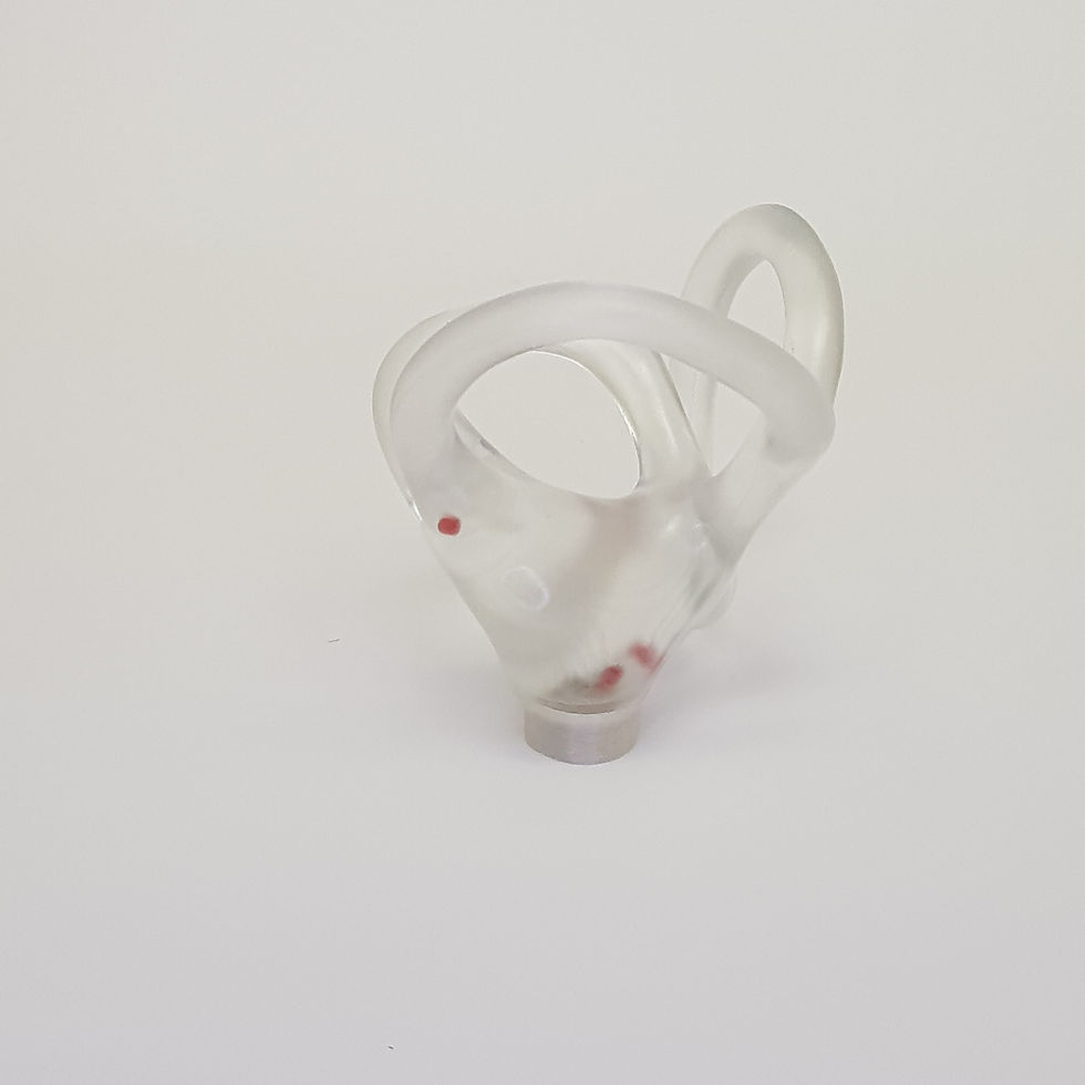 Miniatura: Canais Semicirculares Anatomico Transparente (Lado Direito)