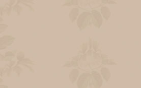 Beige Minimalist Creative Agency Website Desktop Prototype (2)_edited_edited.jpg