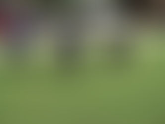 Division 2 Week 2 preview