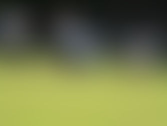 Frank beats Gordon in Over-80s KO Final again