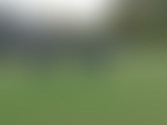 Photos from Springwood