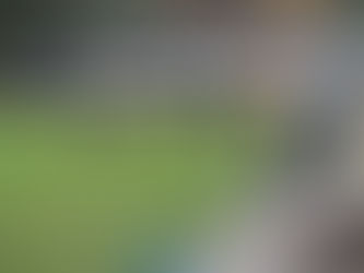 Division 5 Week 2 Preview