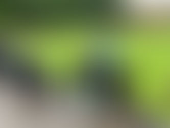 Netherton photofeast