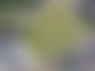 'Name The Green 2022' Week 3 Day 2