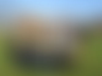 Final day photos from Lindley Lib