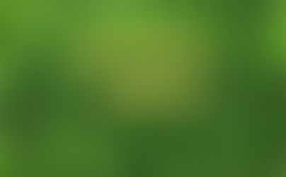 Mystery Green 7