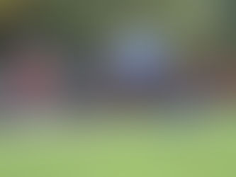 Formbook prevails in Division 3