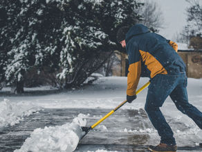 Totally blank week for Winter League