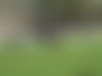 Opening day sunshine at new Winter League green