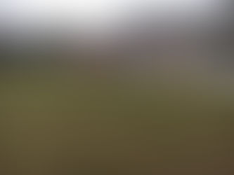 Half-term report from Division 1