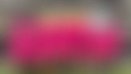 10-Man League Sub-Team KO Draw