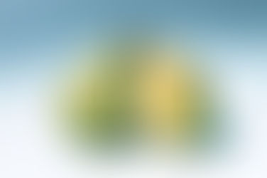 Clayton West duo in search of 3rd Pairs KO title